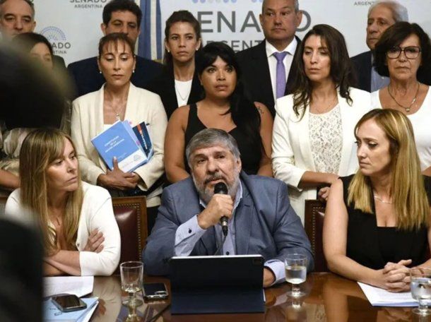 Senadores de Unión por la Patria repudian a Lamelas y exigen que no se lo acepte como embajador