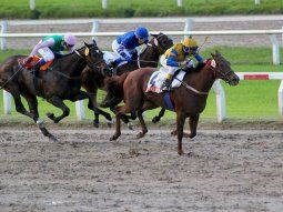 Pandemia: las nuevas en el Hipódromo de Palermo