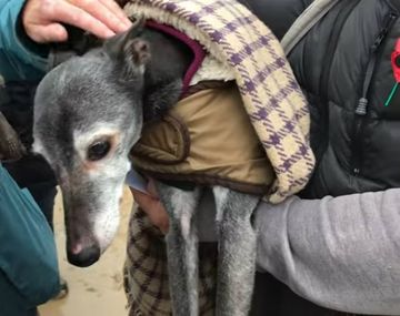 Walnut fue despedido por sus dueños, pero también por sus vecinos