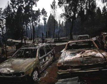 Incendios: Alberto viaja a Chubut para recorrer las zonas afectadas