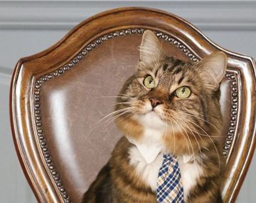 Hank4senate small
