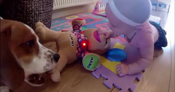 Emocionante: mirá el video de la convivencia entre una beba y un perro