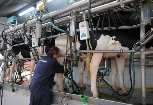Brasil es uno de los principales compradores de leche en polvo entera en Uruguay.&nbsp;