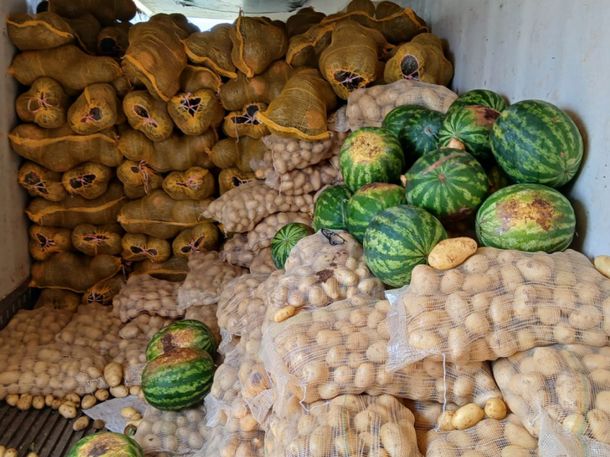 Peligro en la mesa: destruyen 20 toneladas de frutas y verduras en Corrientes por riesgo sanitario