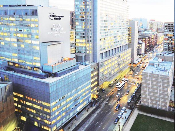 Estados Unidos: trasplantaron un riñón de cerdo a un humano