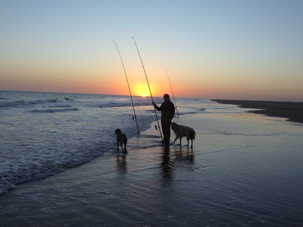 Cazó a un delfín, lo paseó en su cuatriciclo y después lo comió: podrían multarlo con un millón de pesos