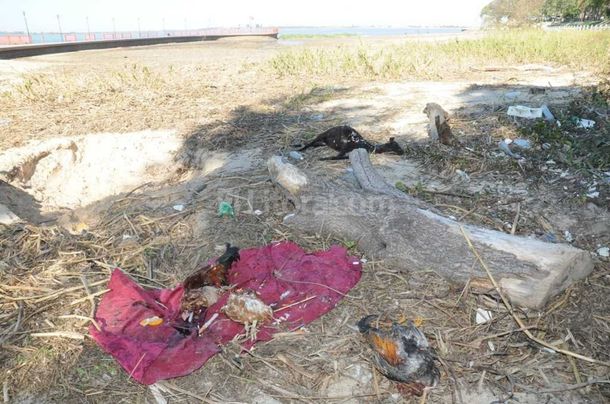 Foto: diario El Litoral.