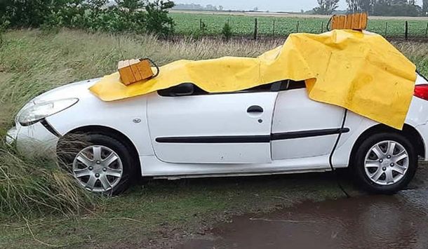 Temporal trágico: un árbol cayó sobre un auto y mató a una nena