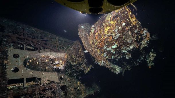 Un submarino nazi se convirtió en un coral artificial - Crédito:&nbsp;http://www.iflscience.com