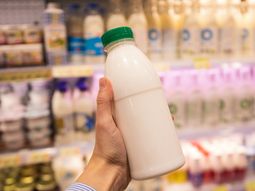 Brasil busca frenar la importación de leche desde países del Mercosur. Brasil busca frenar la importación de leche desde países del Mercosur.