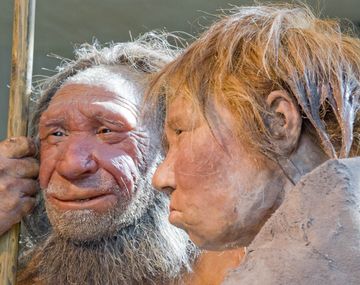 Neardentales se medicaban con aspirina natural