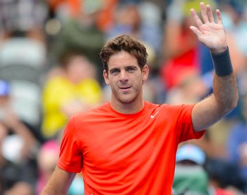 Del Potro va por su primer título del año ante Tomic