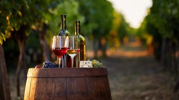 Uruguay promete posicionarse en el mercado mundial de vinos con procesos productivos transparentes. Uruguay promete posicionarse en el mercado mundial de vinos con procesos productivos transparentes.