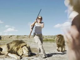 divulgan el video de la venganza de un leon contra unos cazadores divulgan el video de la venganza de un leon contra unos cazadores