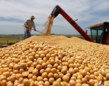 Anticipan la suba de las retenciones y suspenden la exportación de soja