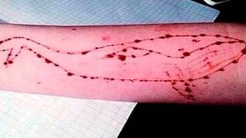 El juego de La Ballena Azul preocupa a Uruguay El juego de La Ballena Azul preocupa a Uruguay