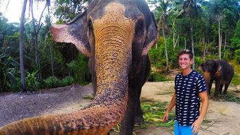 la mejor selfie del mundo la saco un elefante la mejor selfie del mundo la saco un elefante