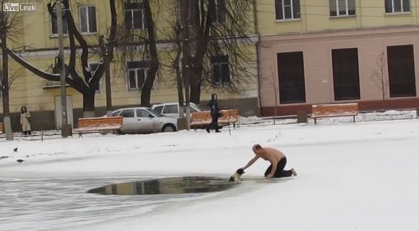 Un hombre salva a un perro que se estaba ahogando en un lago congelado