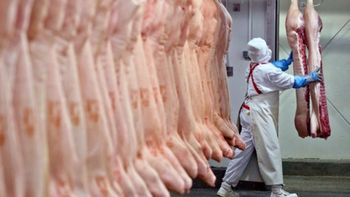 Fuerte caída del consumo de carne en el primer trimestre del año