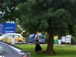 escrachan a una mujer que hace lo segundo al lado de un arbol escrachan a una mujer que hace lo segundo al lado de un arbol