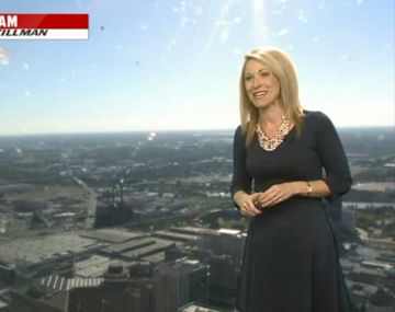 Una abeja asesina atacó a meteoróloga