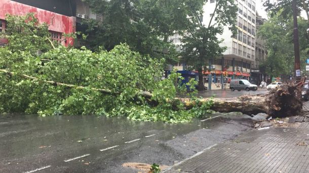 Destrozos en las calles de Montevideo