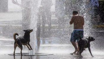 Ola de calor: hay alerta en la Ciudad, el conurbano y otras 12 provincias