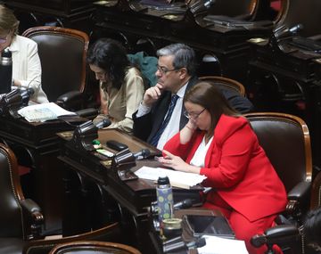 El cruce de Moreau y Martínez con Menem y Lemoine: Como gorilas...