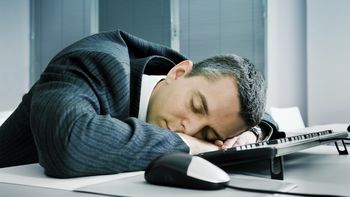 afirman que dormir una siesta de 30 minutos mejora la productividad afirman que dormir una siesta de 30 minutos mejora la productividad