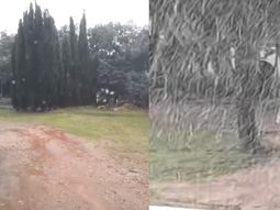 los videos de la llegada de la nieve este miercoles a buenos aires: frio extremo y nevadas los videos de la llegada de la nieve este miercoles a buenos aires: frio extremo y nevadas