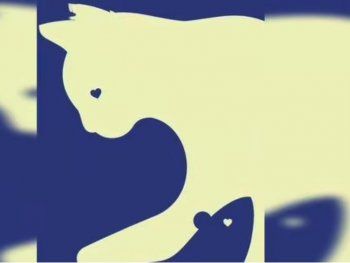 Lo primero que veas revelará si sos una persona dominante