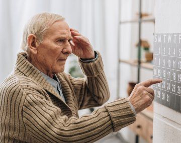 La investigación de Harvard sobre los alimentos que podrían ocasionar demencia