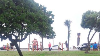 Miel, el perrito que necesita una familia Miel, el perrito que necesita una familia