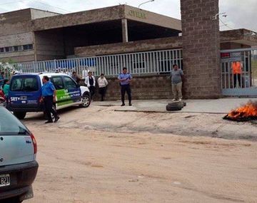 Cierra una empresa de aceitunas y 50 personas se quedan sin trabajo