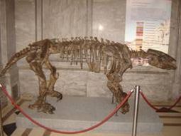 Scelidotherium