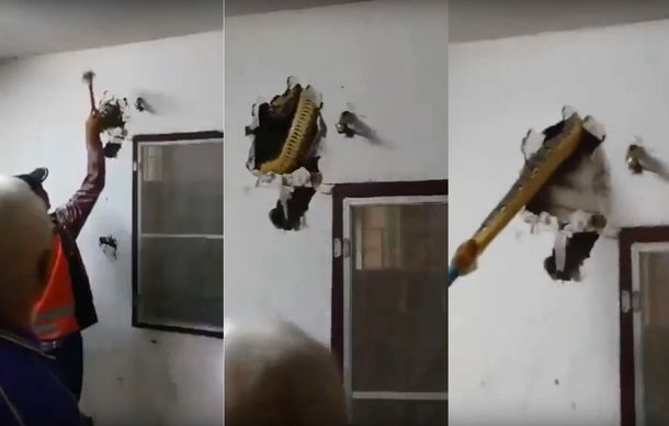 Sacaron una pitón de una pared