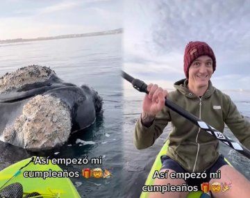 Tres ballenas sorprenden a una pareja que remaba en Puerto Madryn