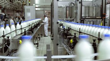 SanCor pidió su quiebra y enfrenta una deuda millonaria. SanCor pidió su quiebra y enfrenta una deuda millonaria.