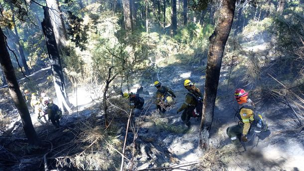 Tras el paso del fuego en el Parque Nacional Nahuel Huapi Tras el paso del fuego en el Parque Nacional Nahuel Huapi