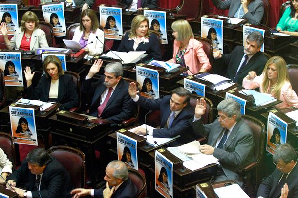 El Senado dio media sanción al proyecto de per saltum