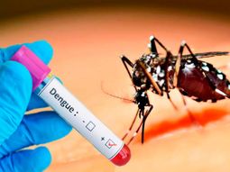 El Dengue es la enfermedad que&nbsp;trasmite el mosquito Aedes Aegypti