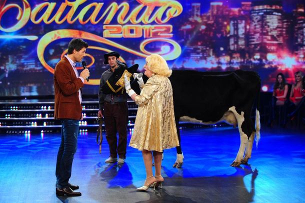 Tinelli ordeñó mal una vaca y no obtuvo leche, sino otra cosa