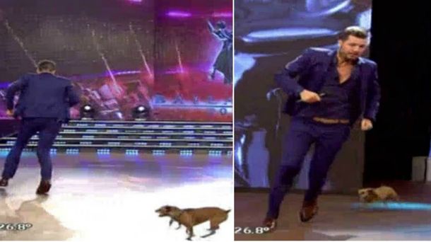 Marcelo Tinelli y Pini&nbsp;