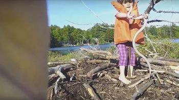 video: una nena aventurera agarra sin miedo a una vibora video: una nena aventurera agarra sin miedo a una vibora