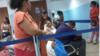 oms declara al virus de zika emergencia sanitaria mundial oms declara al virus de zika emergencia sanitaria mundial