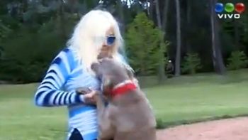 susana recibio ayuda para domesticar a su perra susana recibio ayuda para domesticar a su perra