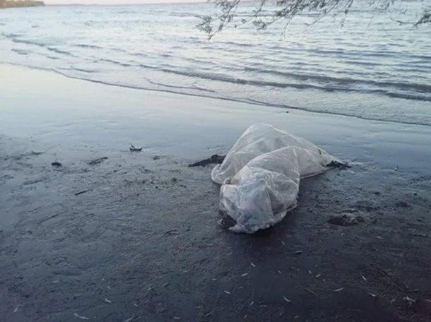 Encontraron el cuerpo de un pescador en la playa de Berisso