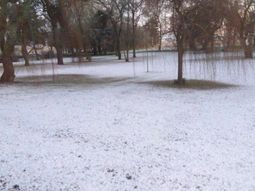 Por la ola de frío polar, nevó en Mar del Plata