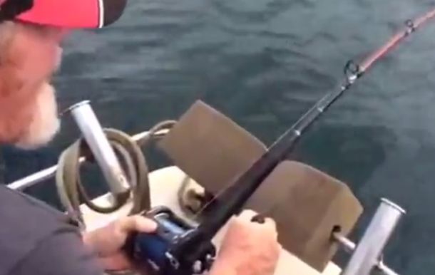 Mirá cómo un gran tiburón le quitó a un hombre lo que había pescado