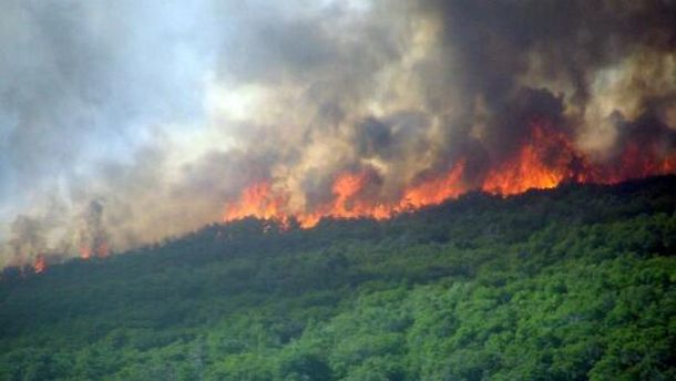 Descontrolados incendios forestales en Neuquén